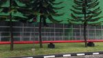 Penampakan Harta Karun Made in Garut Berusia 92 Tahun