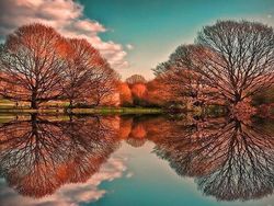 Kumpulan Foto Refleksi yang Menawan Hingga Menggelikan