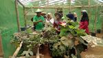 Liburan Akhir Tahun ke Kampung Wisata Gagot di Banjarnegara