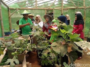 Liburan Akhir Tahun ke Kampung Wisata Gagot di Banjarnegara
