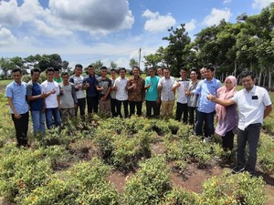 Semangatnya Petani Muda di Takalar Jadi Petani Hortikultura