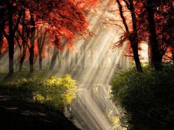 Kumpulan Foto Refleksi yang Menawan Hingga Menggelikan