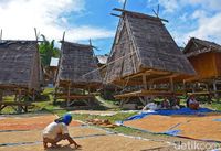 Potret warga dan rumah Uma Lengge (Faruk/detikTravel)