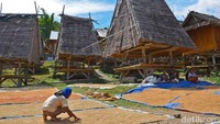 Meskipun keberadaannya sebagai tempat tinggal, Uma Lengge tak lagi digunakan oleh warga Bima atau fungsinya telah dialihkan menjadi tempat penyimpanan gabah pagi. Uma Lengge juga telah digunakan sebagai situs wisata sejarah tradisional Bima. (Faruk Nickyrawi/detikTravel)