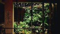Tempat ini resmi dibuka mulai 14 desember 2018. Istimewa/designboom.com.