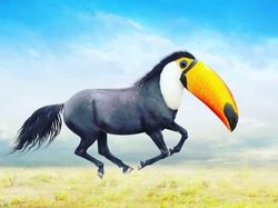 Bikin Ngakak, Begini Hasil Kawin Silang Hewan