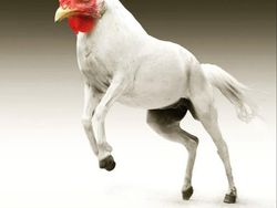 Bikin Ngakak, Begini Hasil Kawin Silang Hewan