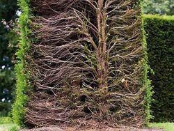 Kumpulan Foto Mencengangkan yang Bikin Wawasan Luas