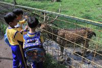 (Wisma Putra/detikTravel)