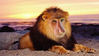 Dalam akunnya ia spesialias membuat gambar-gambar hewan hybrid. Monkion perpaduan antara singa dengan bekantan. (Foto: Instagram/gyyporama)