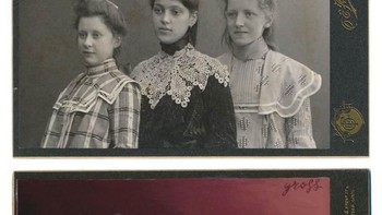 Tiga bersaudara yang diubah Gross menjadi Batgirl, Harley Quinn dan Poison Ivy. (Foto: Alex Gross)