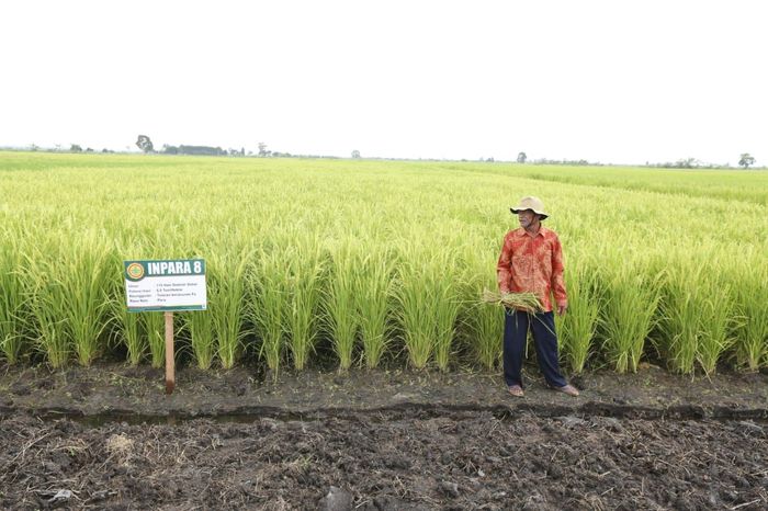 Foto: kementan Foto: kementan