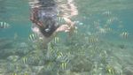 Foto: Snorkeling & Foto-foto Kece di Gunungkidul