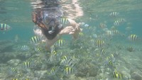 Ombak di Pantai Nglambor tidak terlalu besar karena diapit oleh dua bukit karang sebagai pemecah ombak (Pradito Rida Pertana/detikTravel)