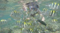 Seorang pengunjung asyik snorkeling (Pradito Rida Pertana/detikTravel)