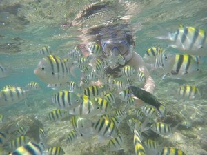 Ayo Liburan! Gunungkidul Punya 73 Km Pantai dan 725 Gua Menawan