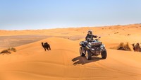 Seru-seruan di gurun (iStock)