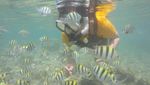 Foto: Snorkeling & Foto-foto Kece di Gunungkidul