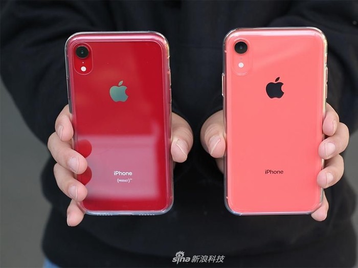 iPhone XR