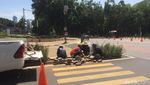 Tak Lagi Tabrak Tanaman, Ini Penampakan Zebra Cross di GBK