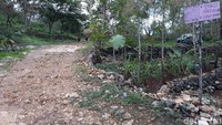 Pantai ini masih baru dan pegelolaannya masih dilakukan oleh warga setempat dengan fasilitas yang belum legkap. Jalan menuju ke lokasi juga belum di aspal. (Pradito Rida Pertana/detikTravel)