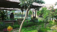 Suasana taman satwa ini sangat asri dengan aneka tanaman peneduhnya. Taman satwa ini terbagi jadi beberapa area, yaitu zona reptil, taman burung, hingga taman kelinci. (Wahyu/detikTravel)