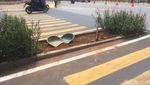 Tak Lagi Tabrak Tanaman, Ini Penampakan Zebra Cross di GBK