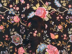 Nyaru! Mural dan Body Painting Keren Ini Nyaris Menipu Mata