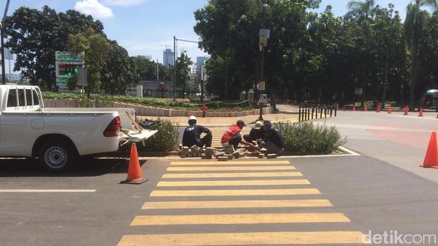 Zebra Cross Tabrak Tanaman di GBK Disorot, Akhirnya Jadi Begini...
