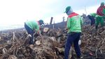 100 Ton Sampah yang Kepung Kuta Bali Dibersihkan