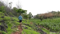 Bagi pengunjung yang hendak mengunjungi Pantai Toroudan disarankan membawa makanan dan minuman sendiri. Karena belum ada pedagang dan fasilitas lainnya. Namun sampahnya dibawa pulang ya, jangan ditinggal di pantai! (Pradito Rida Pertana/detikTravel)
