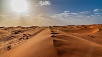 Pada periode Cretaceous, kawasan di sekitar Kem Kem menjadi rumah bagi banyak spesies air dan darat. Fosil yang ditemukan mengindikasikan adanya tiga dinosaurus predator terbesar yang pernah didokumentasikan (iStock)