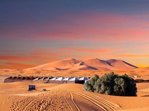 Studi Ungkap Kaum Ini Pernah Tinggal di Gurun Sahara Saat Masih Hijau 7.000 Tahun Lalu