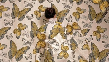 Salah satu hasil karya seni Cecilia Paredes dengan lukisan Kupu-kupu. Istimewa/Boredpanda.