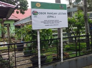 Kementan Minta Manfaatkan Perkarangan untuk Ketahanan Pangan
