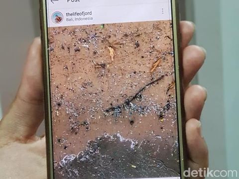 Tiap Hari, Sampah Pantai di Badung Bali Capai 100 Ton