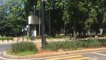 Tak Lagi Tabrak Tanaman, Ini Penampakan Zebra Cross di GBK