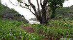 Foto: Pantai Toroudan Gunungkidul yang Tenang dan Tersembunyi