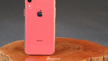 Saat case transparan dipasang di iPhone X coral. Foto: Sina Mobile