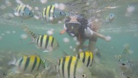 Kalau traveler mau snorkeling, Pantai Nglambor adalah tempatnya. Bahkan saat pandemi ini, ada peralatan snorkeling baru tang disediakan. (Pradito Rida Pertana/detikTravel)