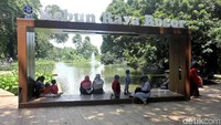 Kebun Raya Bogor memiliki sejumlah spot menarik untuk dikunjungi. Salah satunya adalah sebuah danau yang berada di tengah-tengah arena Kebun Raya Bogor.