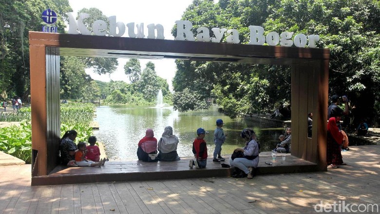 Jalan-jalan ke Kebun Raya Bogor, Apa Saja yang Menarik?