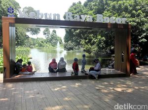 Jalan-jalan ke Kebun Raya Bogor, Apa Saja yang Menarik?
