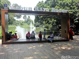 Jalan-jalan ke Kebun Raya Bogor, Apa Saja yang Menarik?