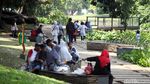 Horeee,... Kebun Raya Bogor Sudah Dibuka Lagi