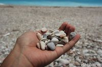 Kisah Anak-anak Pemotret Ulung dari Kupang