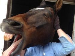 Kumpulan Foto Keren berkat Timing Tepat