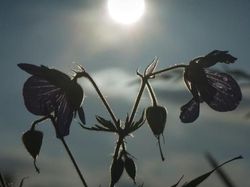 Kumpulan Foto Keren berkat Timing Tepat