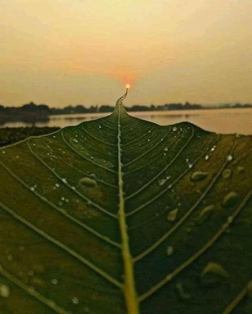 Kumpulan Foto Keren berkat Timing Tepat