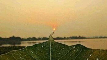 Matahari terbenam yang tepat di ujung tulang daun. (Foto: Brightside)